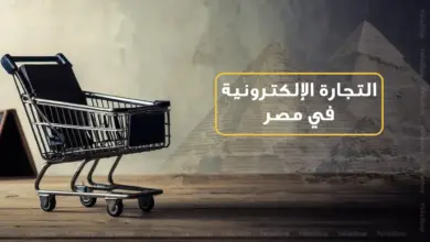 التجارة الالكترونية فى مصر