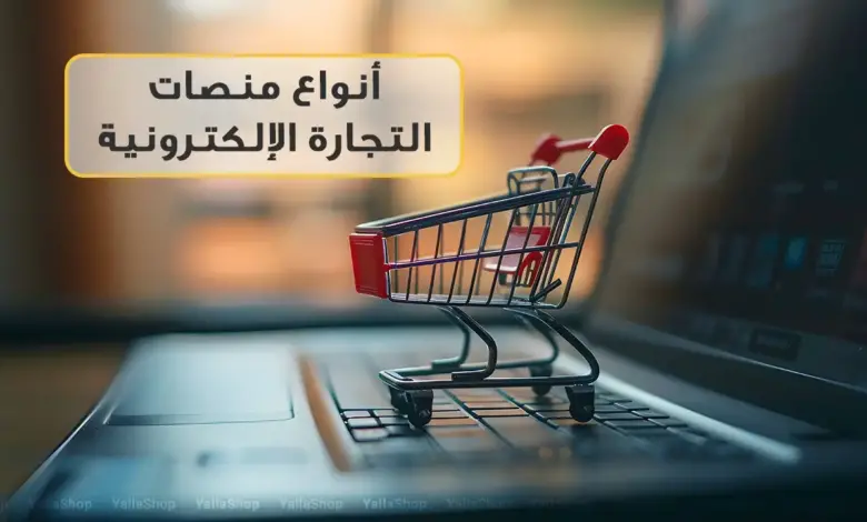 أنواع منصات التجارة الإلكترونية