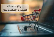 أنواع منصات التجارة الإلكترونية