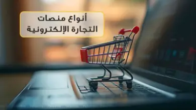 أنواع منصات التجارة الإلكترونية